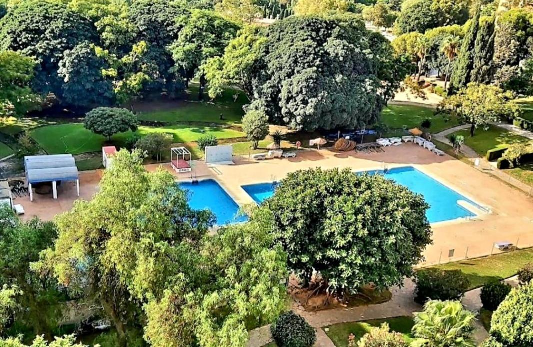 New Swimming Pool Apartment